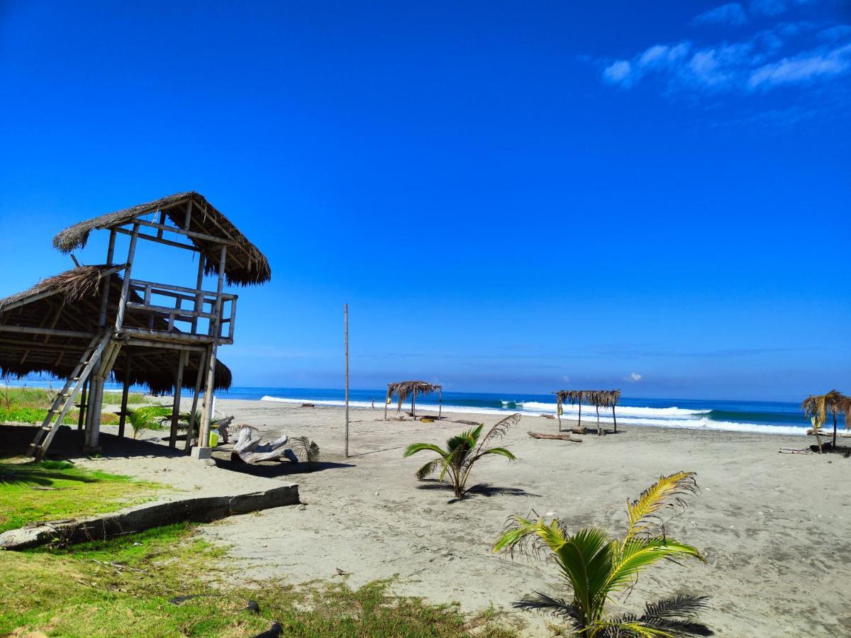 Hotel Punta Azul Pedernales Bagian luar foto