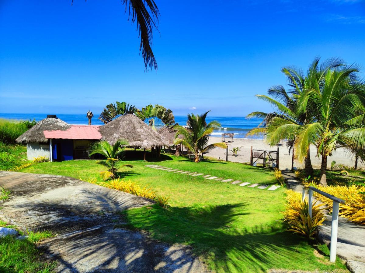 Hotel Punta Azul Pedernales Bagian luar foto